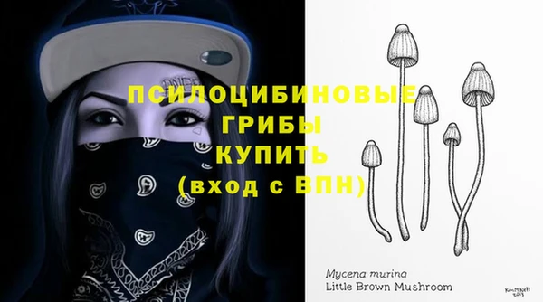 бошки Покров