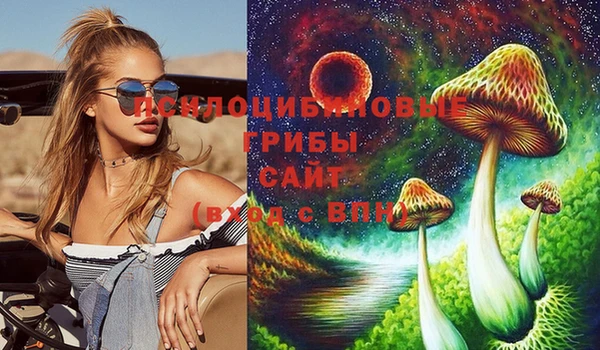 бошки Покачи