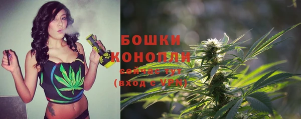 бошки Покачи