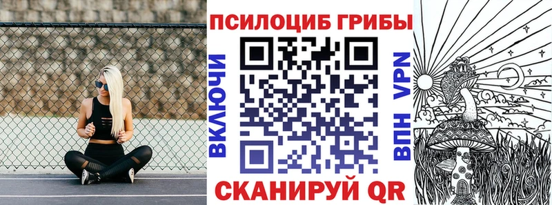 omg вход Бежецк Псилоцибиновые грибы Cubensis